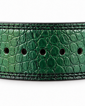Quick-lock lever weightlifting belt in forest green