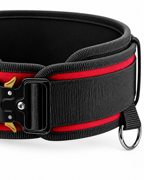 Adjustable belt for weighted dips in vibrant red
