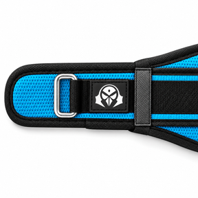 MANUEKLEAR gym weight belt in lagoon blue